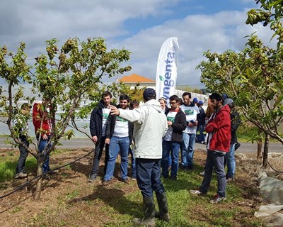 24H Agricultura Syngenta na Universidade do Algarve em abril