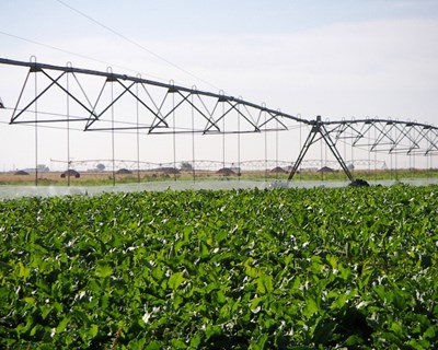 A utilização da água na agricultura da União Europeia é sustentável?