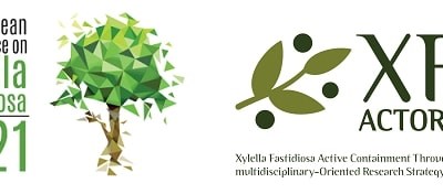 Abertas as inscrições para a 3ª Conferência Europeia sobre Xylella fastidiosa