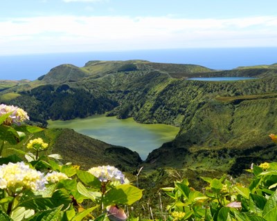 Açores: requalificação de caminho agrícola nas Flores cobre 20 explorações