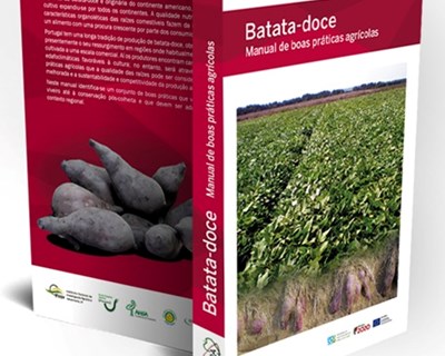 Apresentação online do livro "Batata-doce: Manual de boas práticas agrícolas"