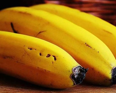 Banana da Madeira: volume de vendas cai 2,6% em 2015