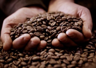 Cacau e café ganham outro sabor no Peru
