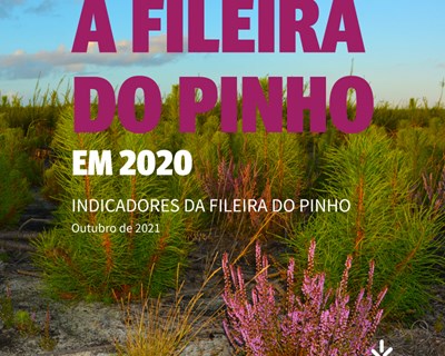 Fileira do Pinho mostra ser resiliente num ano marcado pela pandemia COVID-19