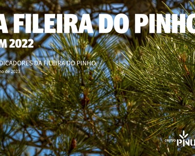 Centro PINUS divulga 8.ª edição dos Indicadores da Fileira do Pinho em 2022