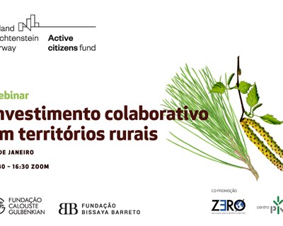 Centro PINUS e ZERO lançam novo webinar sobre tema da atualidade florestal: "Investimento colaborativo em territórios rurais"