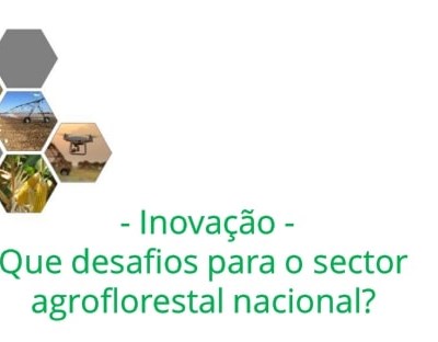 Conferência "Inovação - Que desafios para o setor agroflorestal nacional?"