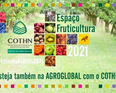 COTHN promove Espaço Fruticultura na Agroglobal 2021