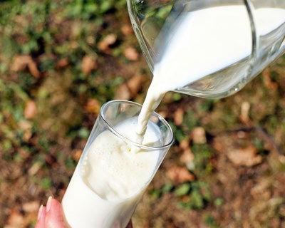 Covid-19: Setor leiteiro cooperativo mobilizado para assegurar fornecimento de leite aos Portugueses