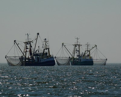 DGRM operacionaliza apoio financeiro do Governo para as pescas