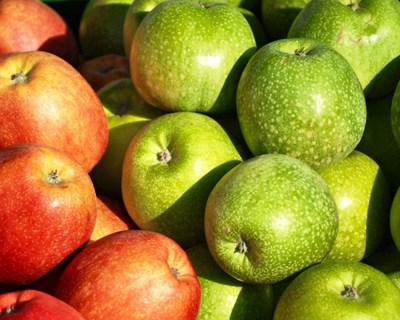 Dia Aberto de Produtores convida a conhecer e provar hortofrutícolas