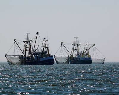 Documento Único da Pesca revoluciona licenciamento na pesca em Portugal