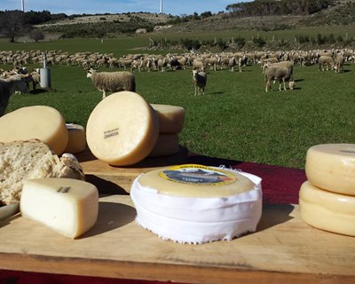 ESTRELACOOP incentiva portugueses a comprarem queijo da Serra da Estrela DOP