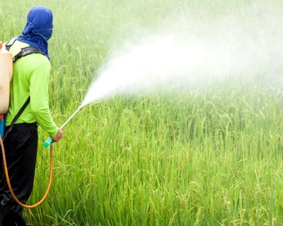 Estudo indica que contaminação da água por inseticidas agrícolas é subestimada
