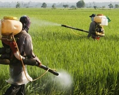 Europa desperta para a redução de pesticidas