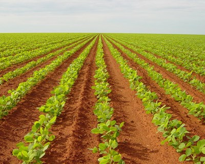 FAABA contesta decisão do Ministério da Agricultura em relação aos compromissos agroambientais