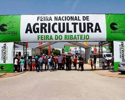Feira Nacional de Agricultura 2015 bateu recorde de expositores