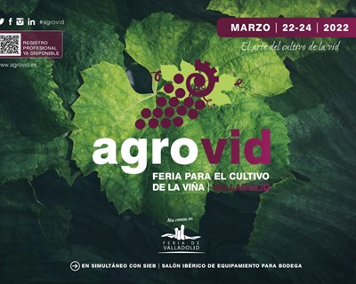 Agrovid e SIEB | Feiras para profissionais da viticultura são adiadas para março
