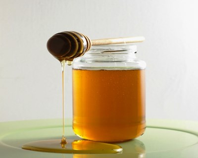 Figueiró dos Vinhos debate apicultura