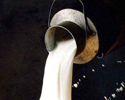 França fixa preço mínimo para o leite