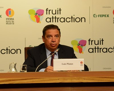 Fruit Attraction ativa a maior comunidade profissional e rede social do mundo especializada no setor de frutas e vegetais