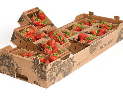 Frutas, legumes e flores vão alcançar os €2000 milhões em exportações até 2020
