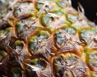 Fruut vai transformar meio milhão de quilos de abacaxi em snack