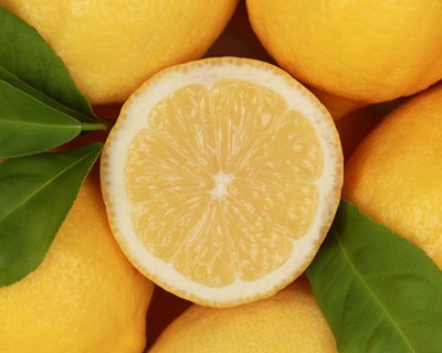 Gondomar debate fileira do limão