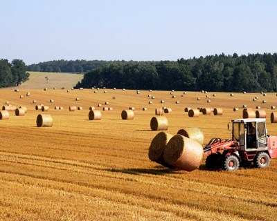Governo anuncia €35 milhões para os jovens agricultores