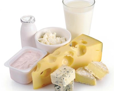 Guia europeu de higiene na produção de queijo artesanal e produtos lácteos