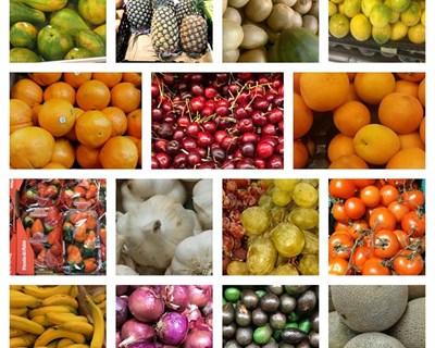 Há uma nova app sobre frutas e legumes de todo o mundo