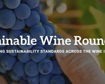 Indústria vitivinícola quer definir sustentabilidade para o sector