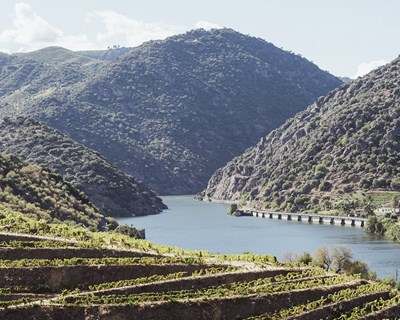 IVDP instala sensores na Região do Douro para racionalizar práticas da viticultura