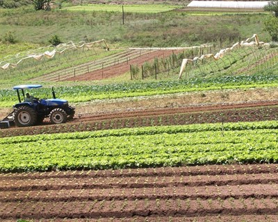 Ministério da Agricultura garante apoio aos compromissos agroambientais