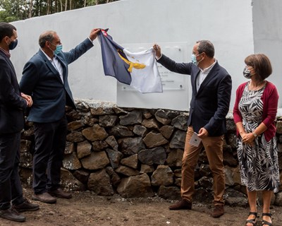 Novos apoios à agricultura nos Açores recebem candidaturas no valor de 1,6 milhões de euros