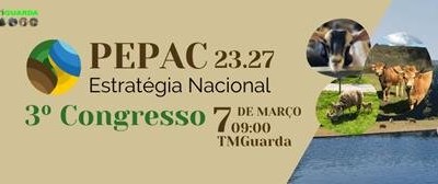PEPAC 23.27 Estratégia Nacional - 3º congresso