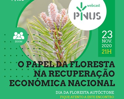 PINUS webcast: A importância da floresta para Portugal