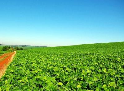 Portugal vai devolver €143 milhões de fundos agrícolas