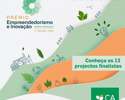 Prémio Empreendedorismo e Inovação Crédito Agrícola 2020: Conheça os 12 projetos finalistas