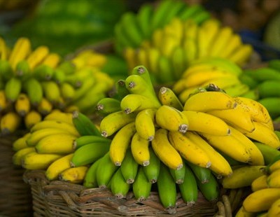 Primeira exportação de banana de Angola a caminho de Portugal
