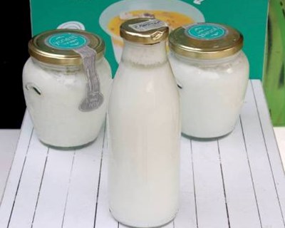 Primeiro iogurte grego nacional sem lactose já está disponível