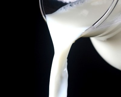 Produção mundial de leite em queda significativa