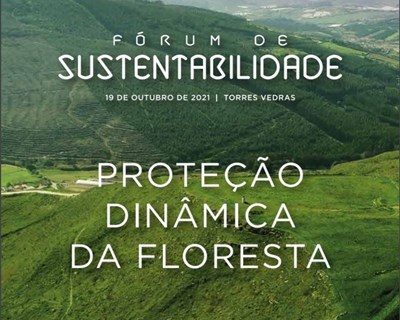 Proteção da floresta e a ocupação sustentável do território em debate