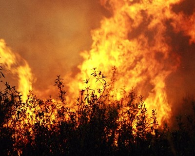 Saiba qual o risco de incêndio florestal da sua região