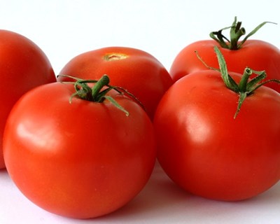 Setor do tomate da UE perde 11% dos seus rendimentos