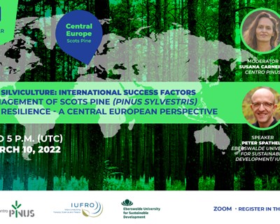 “Silvicultura de pinheiro: fatores internacionais de sucesso” arranca a 10 de março com o Pinheiro-silvestre na Europa Central