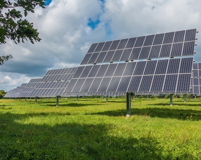 Sovena aposta na descarbonização com instalação de painéis fotovoltaicos