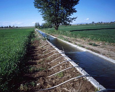 UE discute utilização de águas residuais urbanas na irrigação agrícola