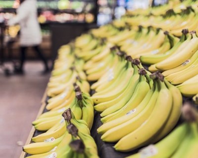 União Europeia é o principal destino das bananas do Equador