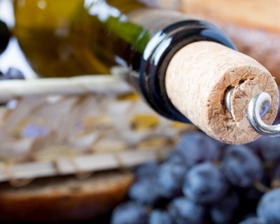 Valorização de efluentes vitivinícolas no Sudoeste Europeu